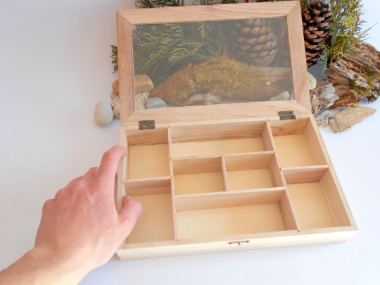 Unfinihed Wooden box glass display- 8 compartments