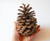 Natural pine cone from Greece- Large Pinecone 4.5 inch high and 3 inch diameter- Wedding Pine Cones, Pine Cone supply , Pine Cone Decor