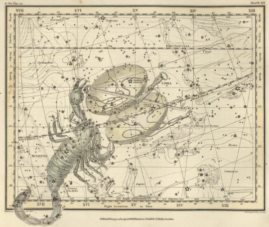 SCORPIO zodiac map print - Antique Star Map - Professional Reproduction of the Constellation SCORPIO- Zodiac wall decor- Astrology Celestial Map