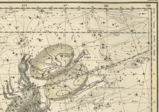 SCORPIO zodiac map print - Antique Star Map - Professional Reproduction of the Constellation SCORPIO- Zodiac wall decor- Astrology Celestial Map