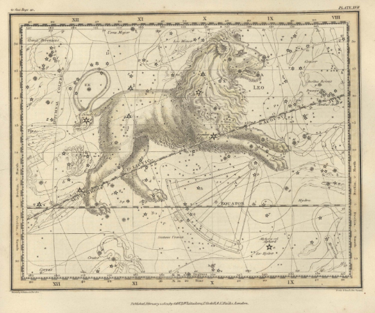 LEO zodiac map print - Antique Star Map - Professional Reproduction of the Constellation of Leo-Wall Art Zodiac- Astrology Celestial Map