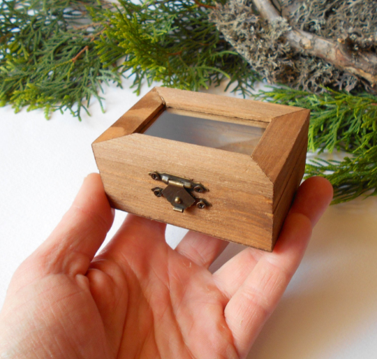 Small wooden display box- rectangular box with glass cap- box with bronze colored hindges- pine wood box- wooden supplies- craft box