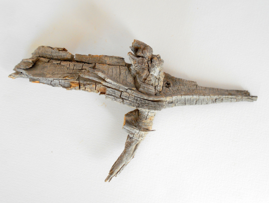 twisted driftwood from pine tree for terrariums decoration, natural wood from the forest