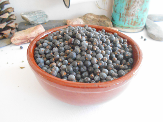 Organic Juniper Berries- 100 grams of wild Juniperus communis fruits- eco bag with organic Juniper Berries- Herb from Bulgaria