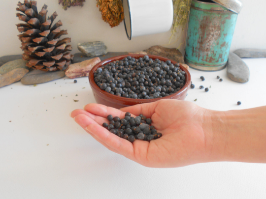 Organic Juniper Berries- 100 grams of wild Juniperus communis fruits- eco bag with organic Juniper Berries- Herb from Bulgaria
