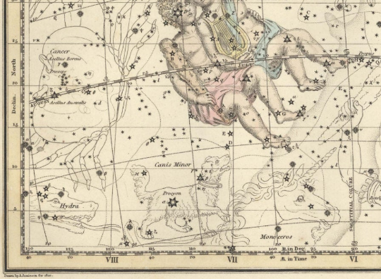 GEMINI zodiac star print - Antique Star Map- Professional Reproduction of the Constellation GEMINI- Wall Art Zodiac- Astrology Celestial Map