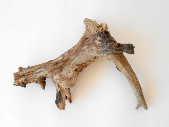 Driftwood pine branch-Driftwood log- Unique wood piece -old rustic wood decor- wood supply- natural forest decoration