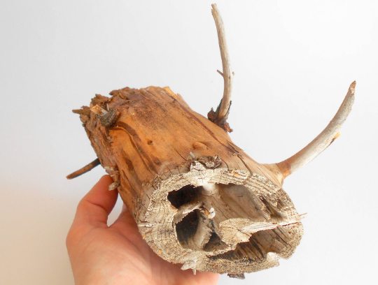 This is a naturally formed driftwood with unique surface and emptied insides formed in a forest in the Rhodopes Mountain in Southern Europe- country Bulgaria. This piece of wood has been formed in many years and time has exposed the inner parts of the old tree log. Now this wood log is wonderful for home decor.