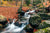 Mountain water stream nature photography wall art print- photo wall decor- landscape in Vitosha Mountain- Bulgarian landscape