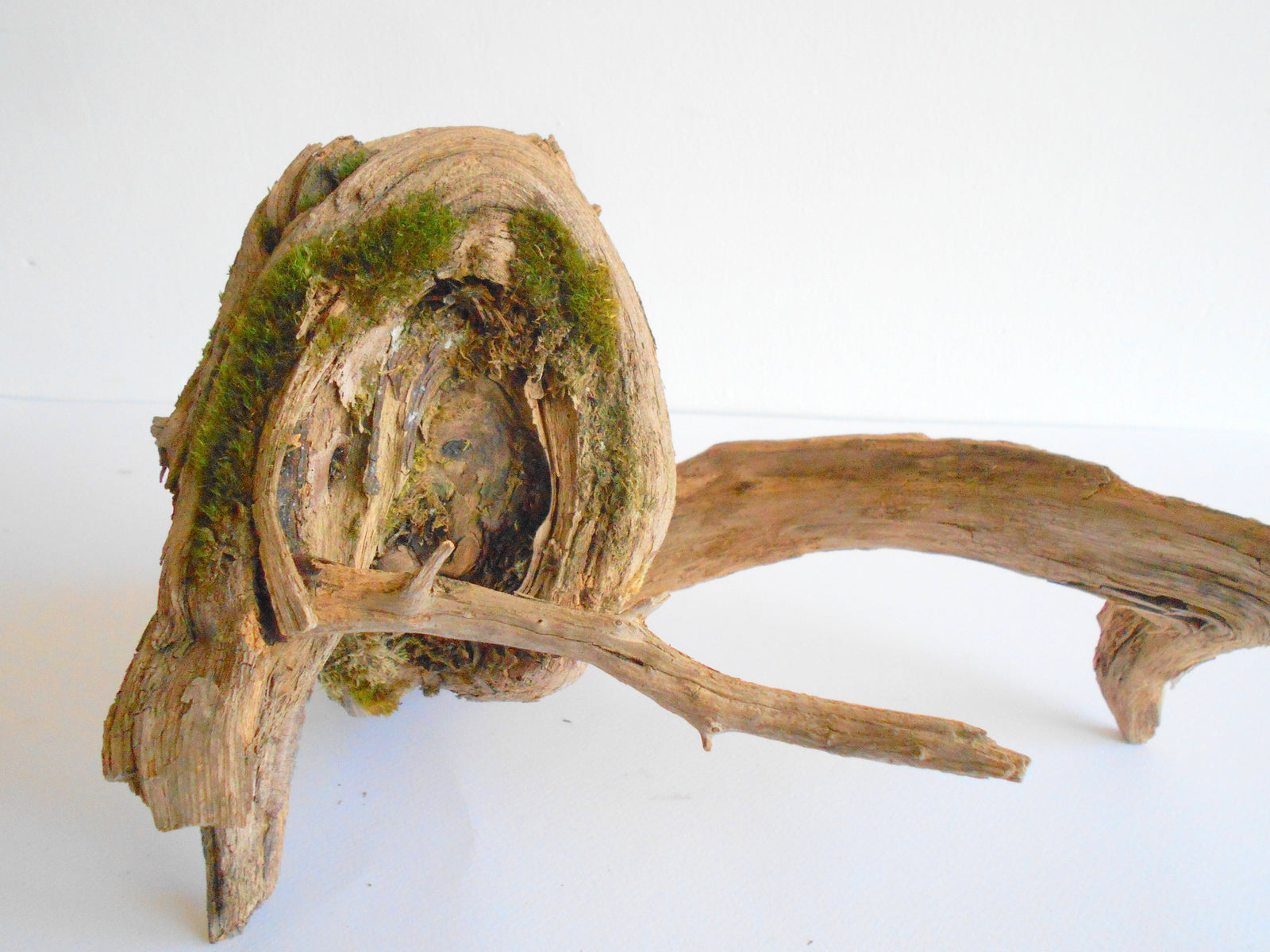 Driftwood & Forest Materials