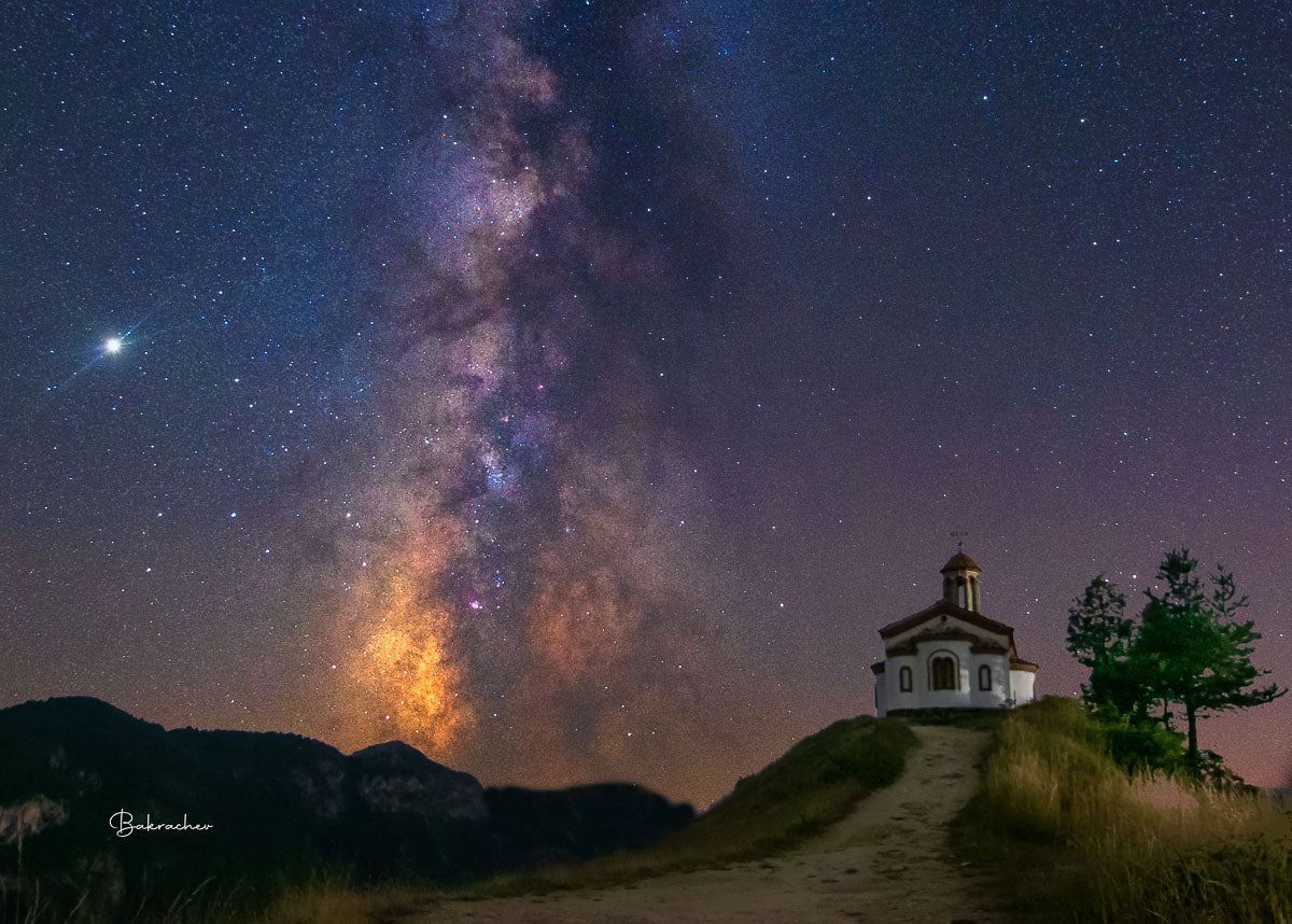 Nature Photography Prints