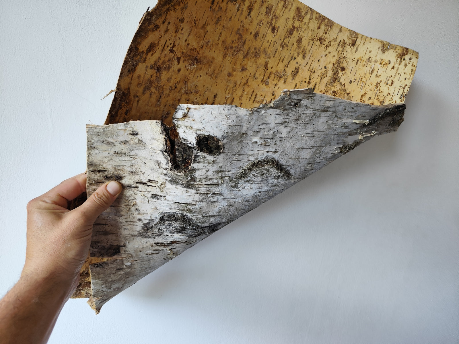 Art & Crafting Materials