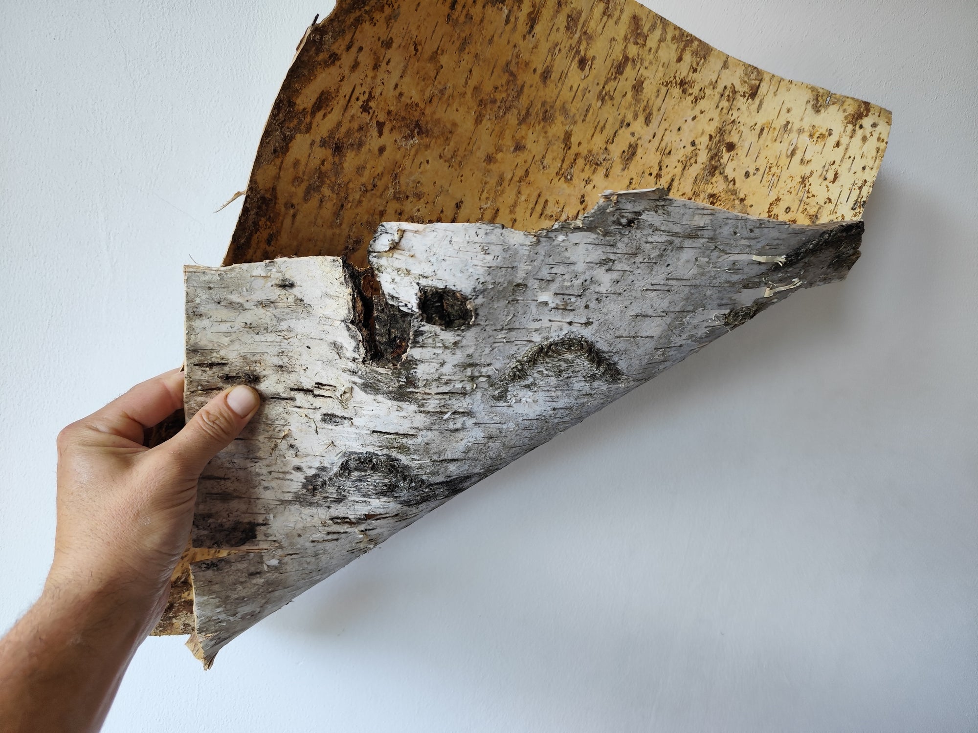 Art & Crafting Materials