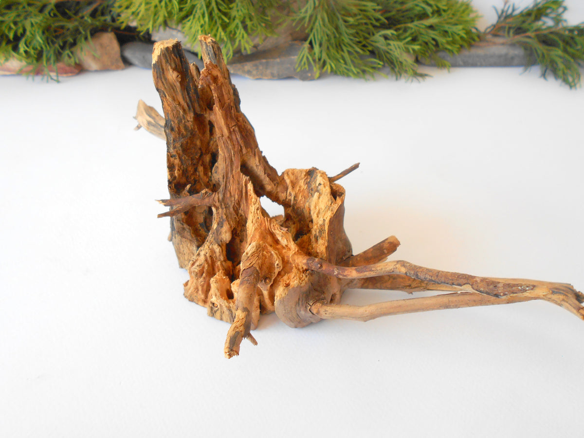 This is a naturally formed driftwood with a unique surface formed in a forest in the Rhodopes Mountain in Southern Europe- country Bulgaria. This piece of wood has been formed for many years and time has exposed the inner parts of the old tree wood.