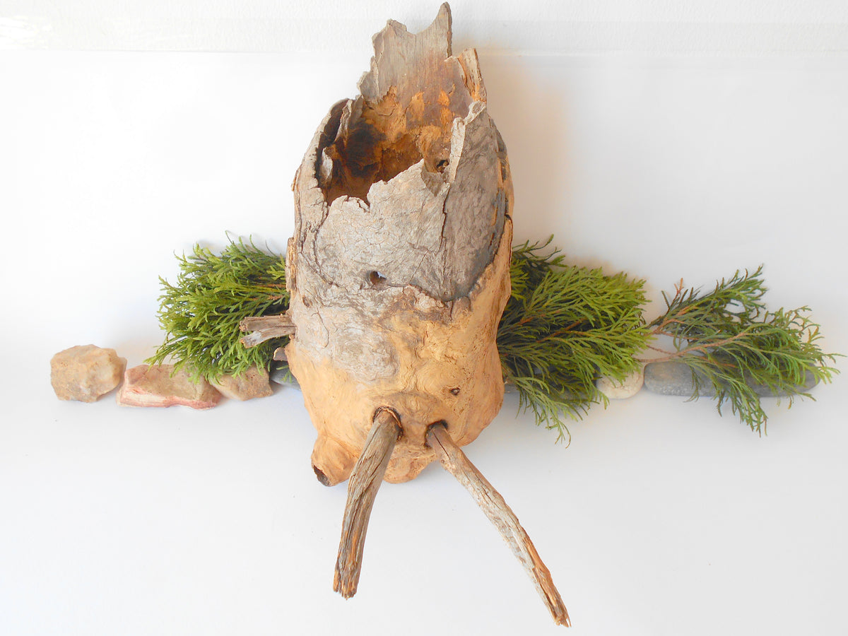 This is a naturally formed driftwood with a unique surface formed in a forest in the Rhodopes Mountain in Southern Europe- country Bulgaria. This piece of wood has been formed for many years and time has exposed the inner parts of the old tree wood. It is an old tre trunk with some branches that became a driftwood.