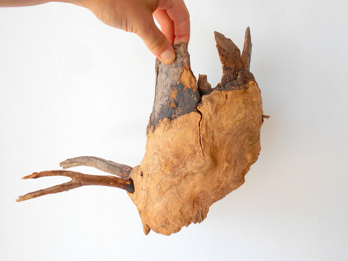 This is a naturally formed driftwood with a unique surface formed in a forest in the Rhodopes Mountain in Southern Europe- country Bulgaria. This piece of wood has been formed for many years and time has exposed the inner parts of the old tree wood. It is an old tre trunk with some branches that became a driftwood.