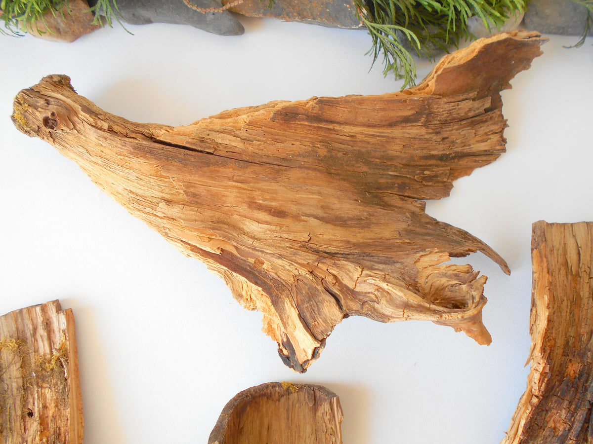 These are 5 naturally formed driftwood with a unique surface formed in a forest in the Rhodopes Mountain in Southern Europe- country Bulgaria. This piece of wood has been formed for many years and time has exposed the inner parts of the old tree trunks.