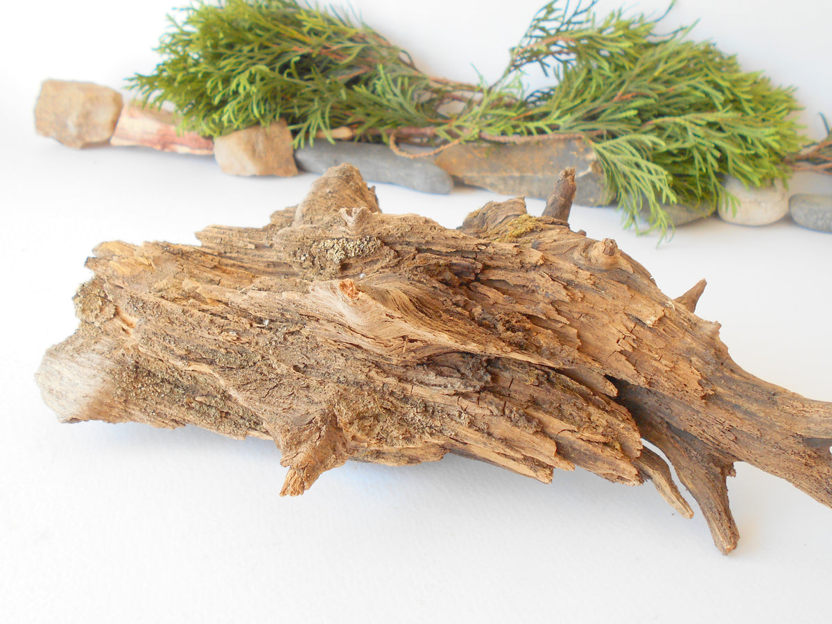 This is a naturally formed driftwood with a unique surface formed in a forest in the Rhodopes Mountain in Southern Europe- country Bulgaria. This piece of wood has been formed for many years and time has exposed the inner parts of the old tree wood. It is an old tre trunk with some roots that became a driftwood.