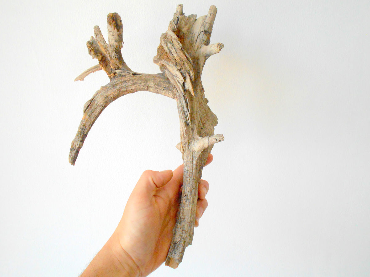 This is a naturally formed driftwood with a unique surface formed in a forest in the Rhodopes Mountain in Southern Europe- country Bulgaria. It looks like the head of an vulture bird, isn&#39;t it? This piece of wood has been formed for many years and time has exposed the inner parts of the old tree wood.&amp;nbsp;