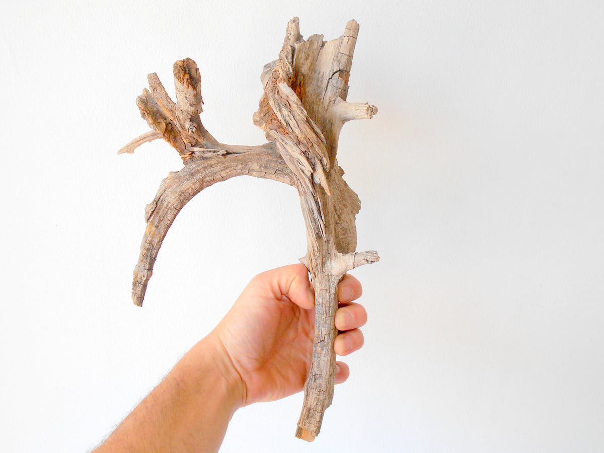 This is a naturally formed driftwood with a unique surface formed in a forest in the Rhodopes Mountain in Southern Europe- country Bulgaria. It looks like the head of an vulture bird, isn&#39;t it? This piece of wood has been formed for many years and time has exposed the inner parts of the old tree wood.&amp;nbsp;