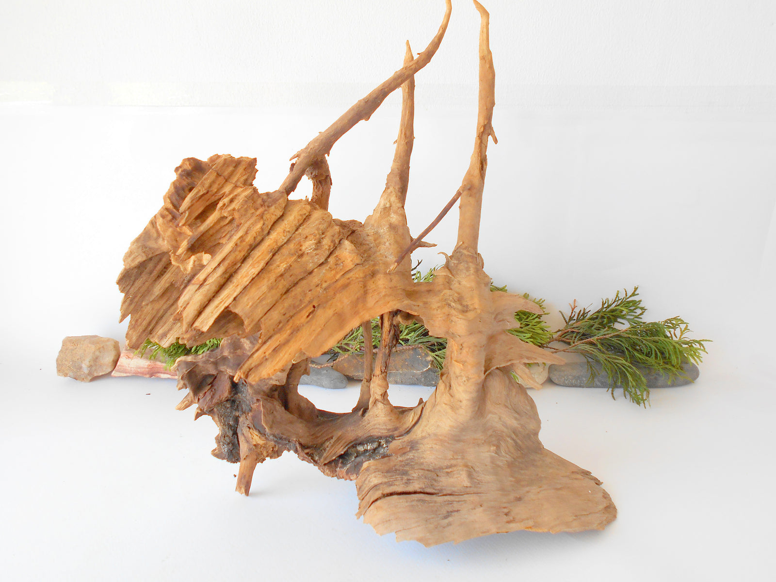 This is a naturally formed driftwood with a unique surface formed in a forest in the Rhodopes Mountain in Southern Europe- country Bulgaria. It looks like a Pirate ship, isn't it? This piece of wood has been formed for many years and time has exposed the inner parts of the old tree wood.&nbsp;