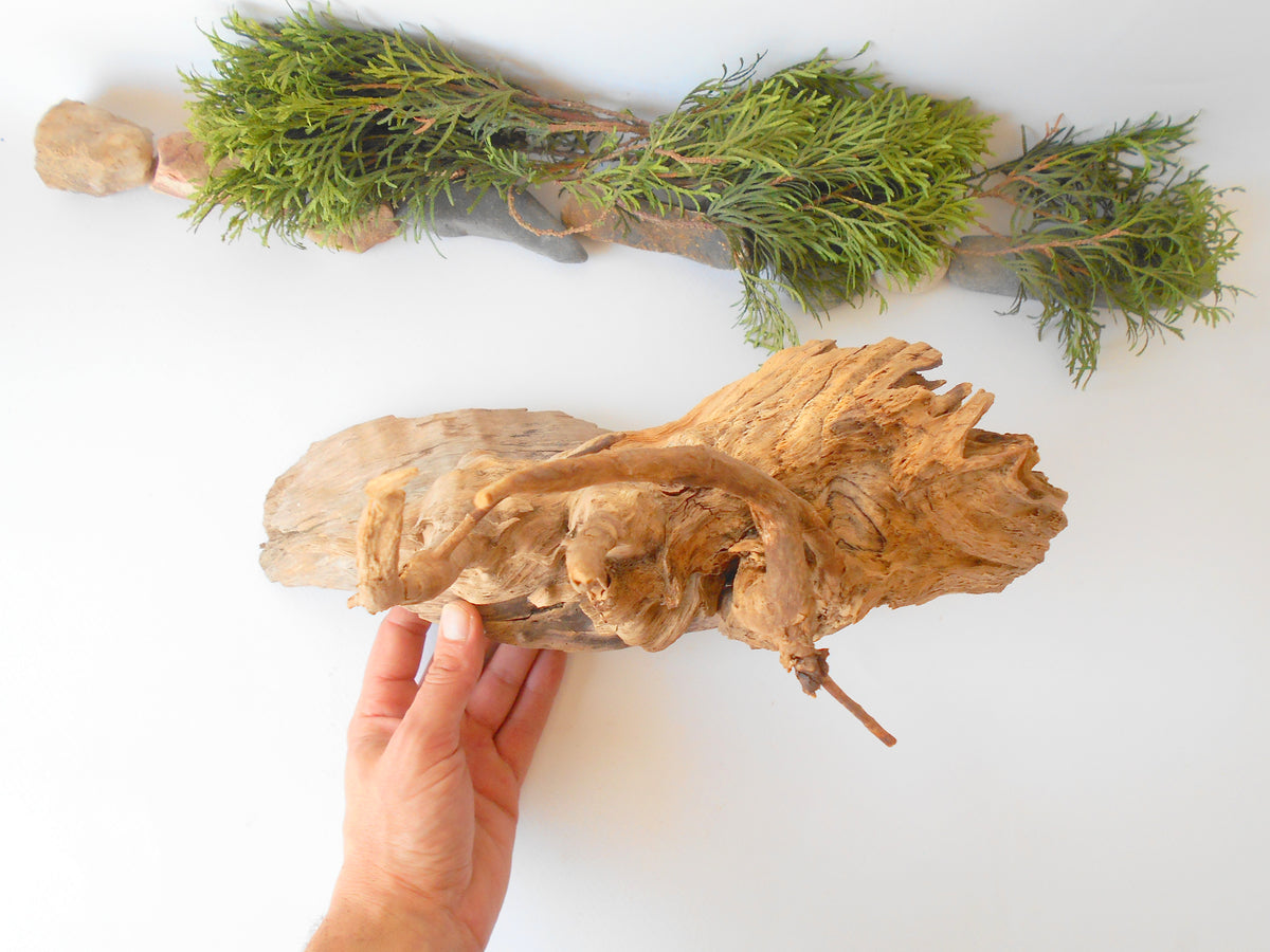 This is a naturally formed driftwood with a unique surface formed in a forest in the Rhodopes Mountain in Southern Europe- country Bulgaria. It looks like a Pirate ship, isn&#39;t it? This piece of wood has been formed for many years and time has exposed the inner parts of the old tree wood.&amp;nbsp;