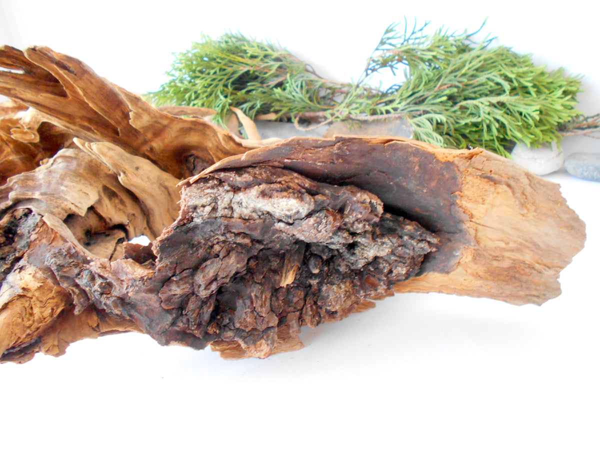 This is a naturally formed driftwood with a unique surface formed in a forest in the Rhodopes Mountain in Southern Europe- country Bulgaria. It looks like a Pirate ship, isn&#39;t it? This piece of wood has been formed for many years and time has exposed the inner parts of the old tree wood.&amp;nbsp;