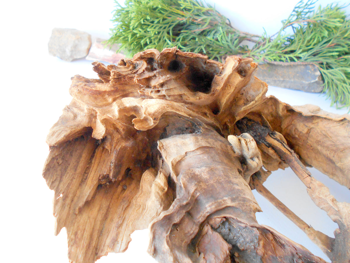 This is a naturally formed driftwood with a unique surface formed in a forest in the Rhodopes Mountain in Southern Europe- country Bulgaria. It looks like a Pirate ship, isn&#39;t it? This piece of wood has been formed for many years and time has exposed the inner parts of the old tree wood.&amp;nbsp;