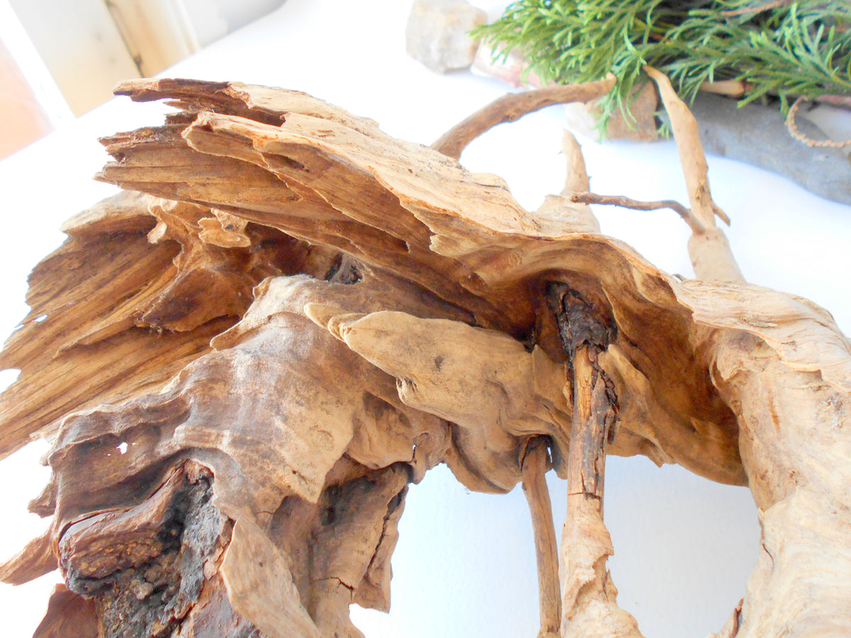 This is a naturally formed driftwood with a unique surface formed in a forest in the Rhodopes Mountain in Southern Europe- country Bulgaria. It looks like a Pirate ship, isn&#39;t it? This piece of wood has been formed for many years and time has exposed the inner parts of the old tree wood.&amp;nbsp;