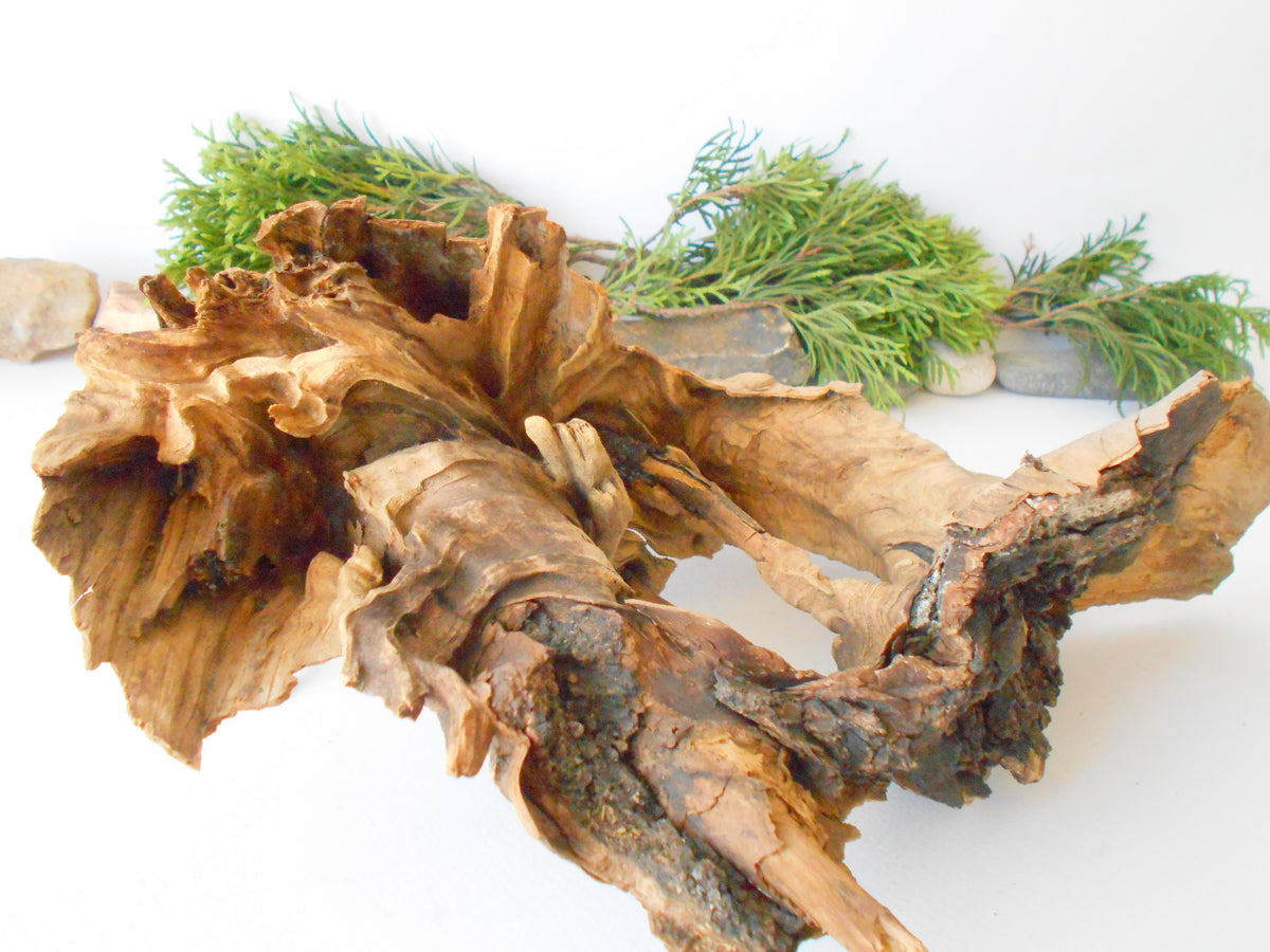 This is a naturally formed driftwood with a unique surface formed in a forest in the Rhodopes Mountain in Southern Europe- country Bulgaria. It looks like a Pirate ship, isn&#39;t it? This piece of wood has been formed for many years and time has exposed the inner parts of the old tree wood.&amp;nbsp;