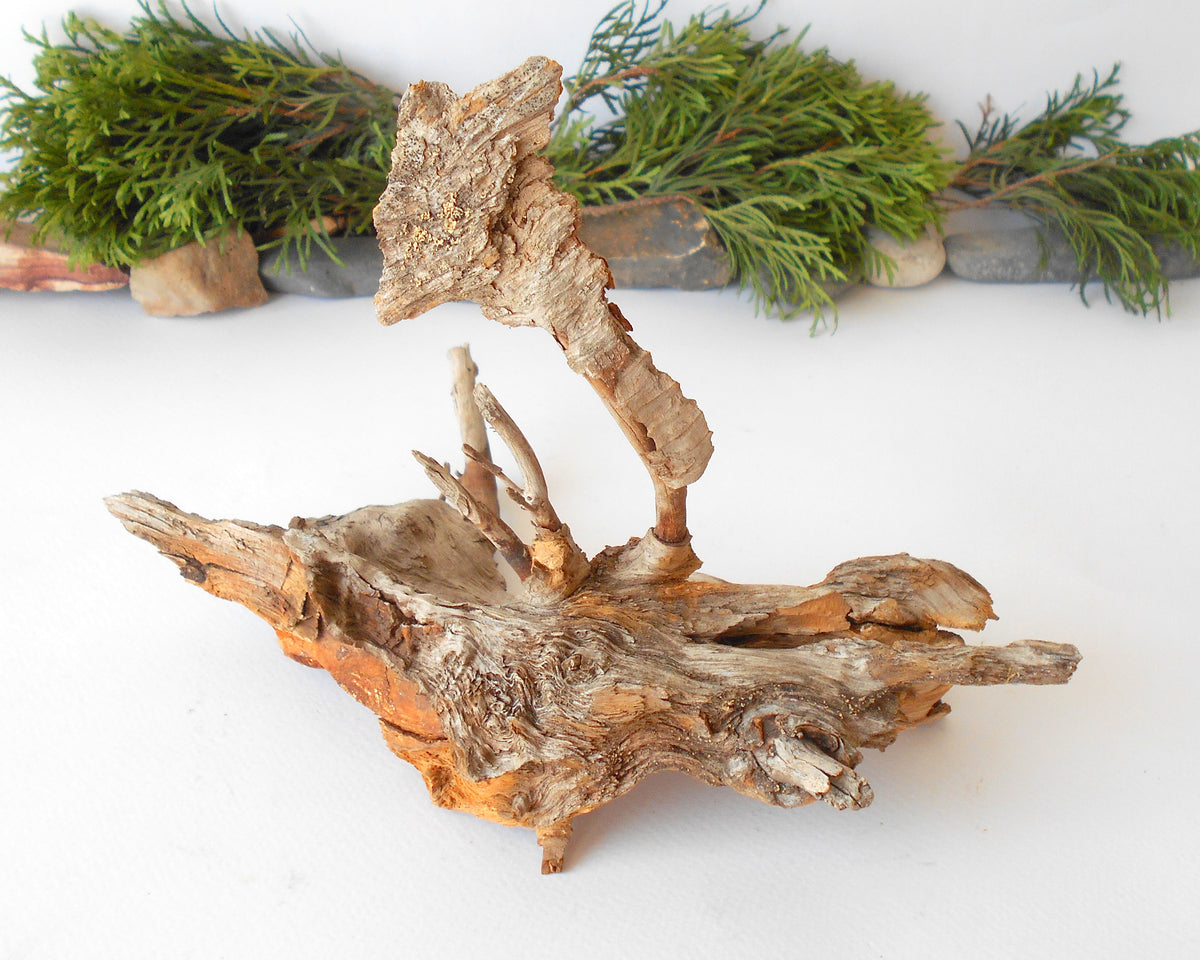 This is a naturally formed driftwood with a unique surface formed in a forest in the Rhodopes Mountain in Southern Europe- country Bulgaria. This piece of wood has been formed for many years and time has exposed the inner parts of the old tree wood. It is an old tre trunk with some roots that became a driftwood.