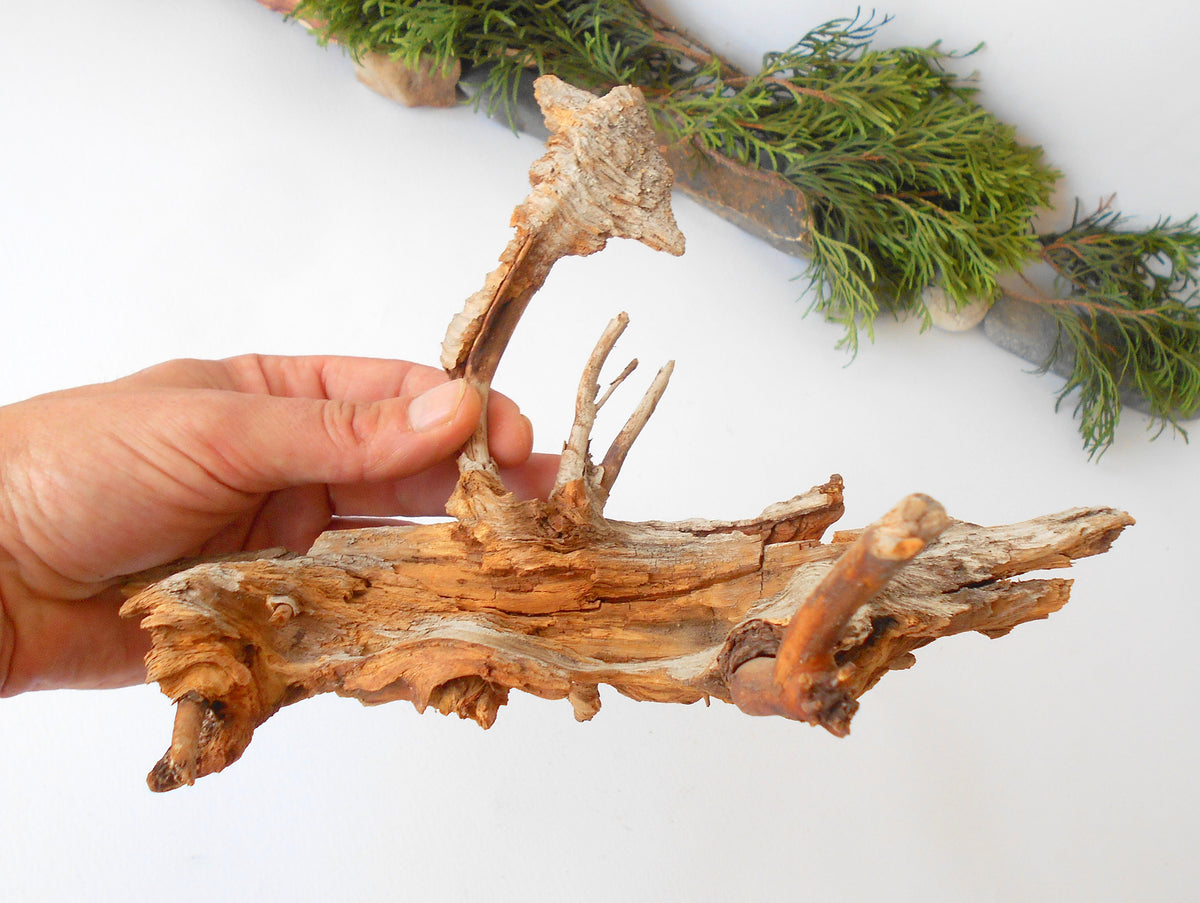 This is a naturally formed driftwood with a unique surface formed in a forest in the Rhodopes Mountain in Southern Europe- country Bulgaria. This piece of wood has been formed for many years and time has exposed the inner parts of the old tree wood. It is an old tre trunk with some roots that became a driftwood.