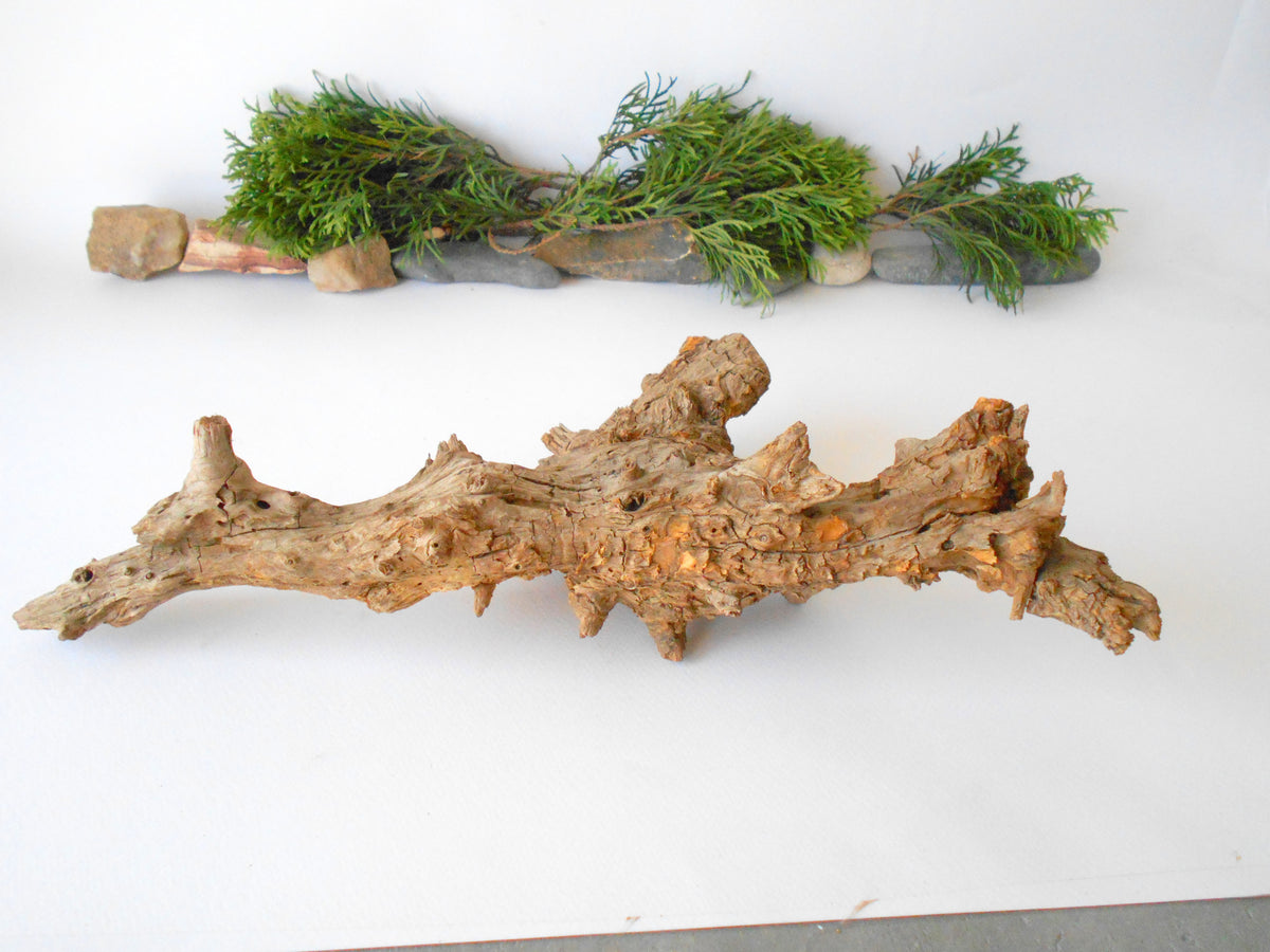 This is a naturally formed driftwood with a unique surface formed in a forest in the Rhodopes Mountain in Southern Europe- country Bulgaria. This piece of wood has been formed for many years and time has exposed the inner parts of the old tree wood. It is an old tre trunk with some roots that became a driftwood.