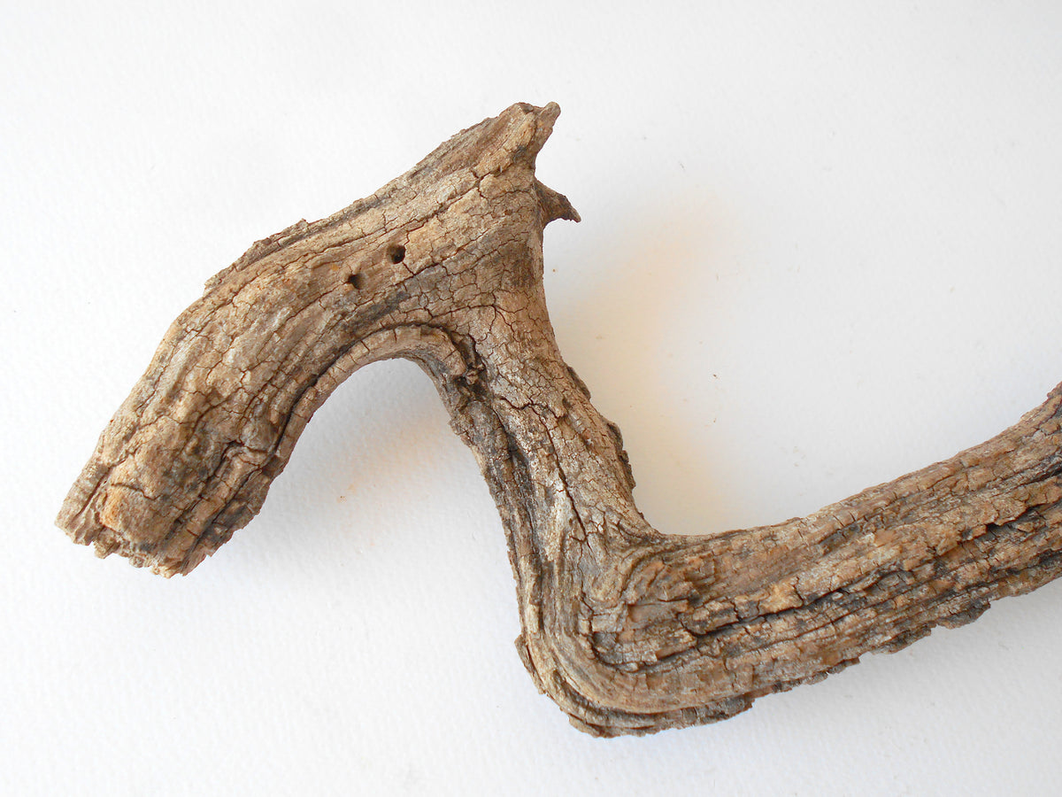 This is a naturally formed driftwood with a unique surface formed in a forest in the Rhodopes Mountain in Southern Europe- country Bulgaria. This piece of wood has been formed for many years and time has exposed the inner parts of the old tree wood. It is an old tre trunk with some roots that became a driftwood.