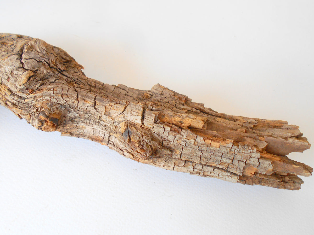 This is a naturally formed driftwood with a unique surface formed in a forest in the Rhodopes Mountain in Southern Europe- country Bulgaria. This piece of wood has been formed for many years and time has exposed the inner parts of the old tree wood. It is an old tre trunk with some roots that became a driftwood.  Size: 19&#39;&#39; x 2&#39;&#39; x 2&#39;&#39;-&amp;nbsp; 48 x 5 x 5 cm.&amp;nbsp;