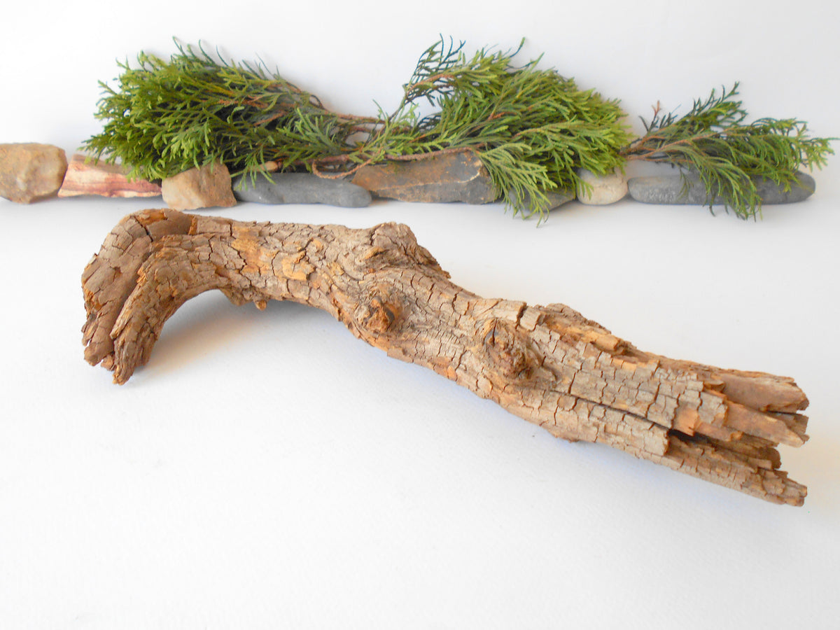 This is a naturally formed driftwood with a unique surface formed in a forest in the Rhodopes Mountain in Southern Europe- country Bulgaria. This piece of wood has been formed for many years and time has exposed the inner parts of the old tree wood. It is an old tre trunk with some roots that became a driftwood.  Size: 19&#39;&#39; x 2&#39;&#39; x 2&#39;&#39;-&amp;nbsp; 48 x 5 x 5 cm.&amp;nbsp;