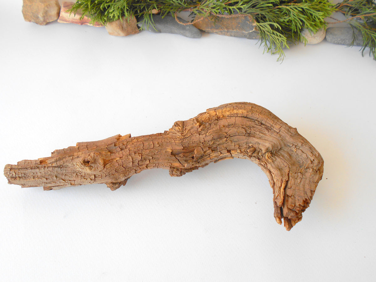 This is a naturally formed driftwood with a unique surface formed in a forest in the Rhodopes Mountain in Southern Europe- country Bulgaria. This piece of wood has been formed for many years and time has exposed the inner parts of the old tree wood. It is an old tre trunk with some roots that became a driftwood.  Size: 19&#39;&#39; x 2&#39;&#39; x 2&#39;&#39;-&amp;nbsp; 48 x 5 x 5 cm.&amp;nbsp;