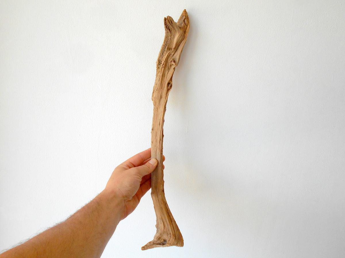 This is a naturally formed driftwood with a unique surface formed in a forest in the Rhodopes Mountain in Southern Europe- country Bulgaria. This piece of wood has been formed for many years and time has exposed the inner parts of the old tree wood. It is an old tre trunk with some roots that became a driftwood.  Size: 20.5&#39; x 2&#39;&#39; x 2&#39;&#39;-&amp;nbsp; 52 x 5 x 5 cm.&amp;nbsp;