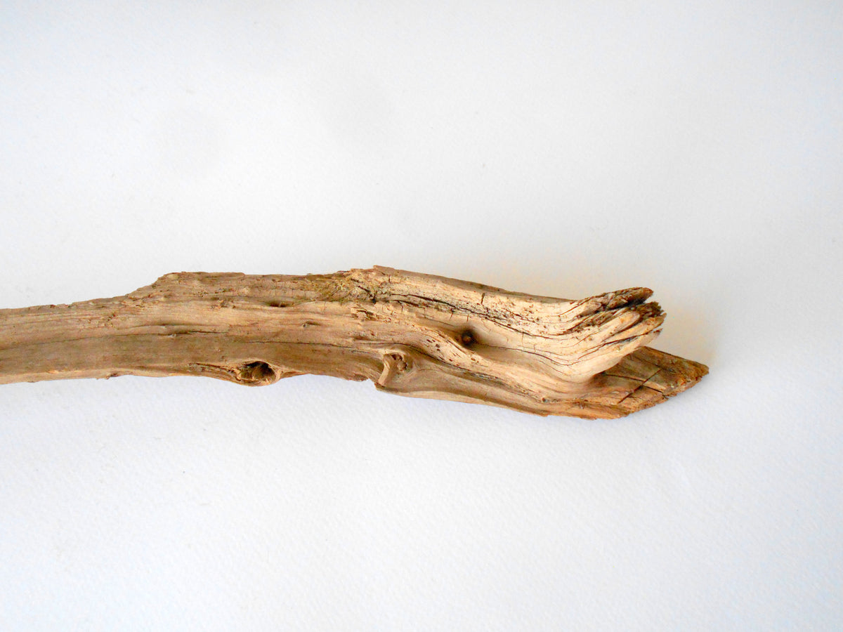 This is a naturally formed driftwood with a unique surface formed in a forest in the Rhodopes Mountain in Southern Europe- country Bulgaria. This piece of wood has been formed for many years and time has exposed the inner parts of the old tree wood. It is an old tre trunk with some roots that became a driftwood.  Size: 20.5&#39; x 2&#39;&#39; x 2&#39;&#39;-&amp;nbsp; 52 x 5 x 5 cm.&amp;nbsp;