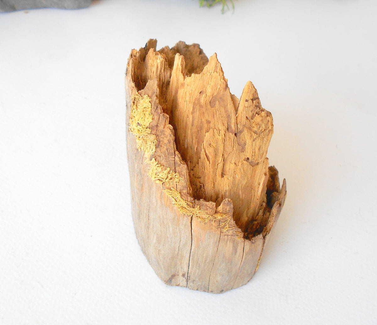 This is a naturally formed driftwood with a unique surface formed in a forest in the Rhodopes Mountain in Southern Europe- country Bulgaria. This piece of wood has been formed for many years and time has exposed the inner parts of the old tree wood. It is an old tre trunk with some roots that became a driftwood.  Size: about 4.5&#39; x 3.5&#39;&#39; x 3&#39;&#39;-&amp;nbsp; 12 x 9 x 7.5 cm.&amp;nbsp;