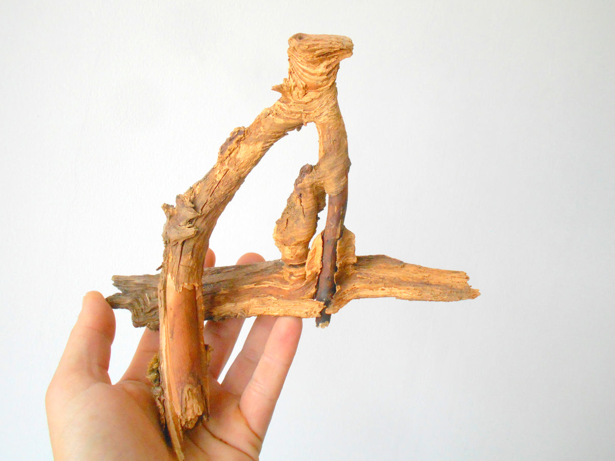 This is a naturally formed driftwood with a unique surface formed in a forest in the Rhodopes Mountain in Southern Europe- country Bulgaria. This piece of wood has been formed for many years and time has exposed the inner parts of the old tree wood. It looks like a boat or like a small pirate ship, isn&#39;t it?  Size: 20.5&#39; x 2&#39;&#39; x 2&#39;&#39;-&amp;nbsp; 52 x 5 x 5 cm.&amp;nbsp;