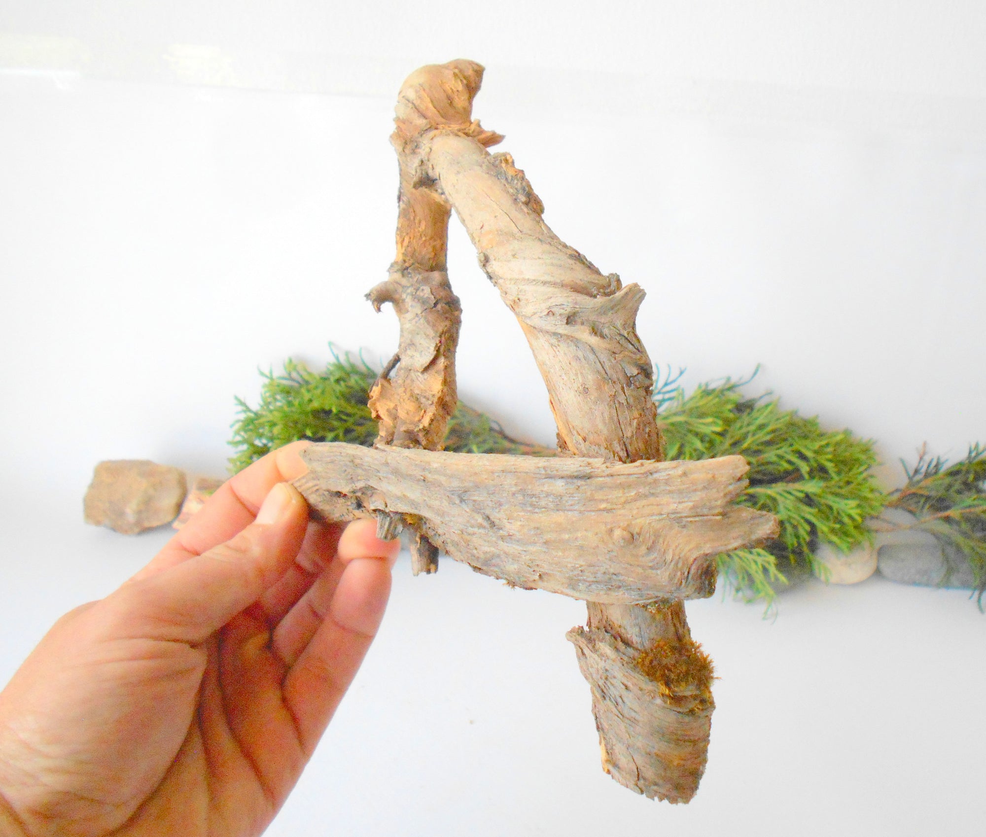 This is a naturally formed driftwood with a unique surface formed in a forest in the Rhodopes Mountain in Southern Europe- country Bulgaria. This piece of wood has been formed for many years and time has exposed the inner parts of the old tree wood. It looks like a boat or like a small pirate ship, isn't it?  Size: 20.5' x 2'' x 2''-&nbsp; 52 x 5 x 5 cm.&nbsp;