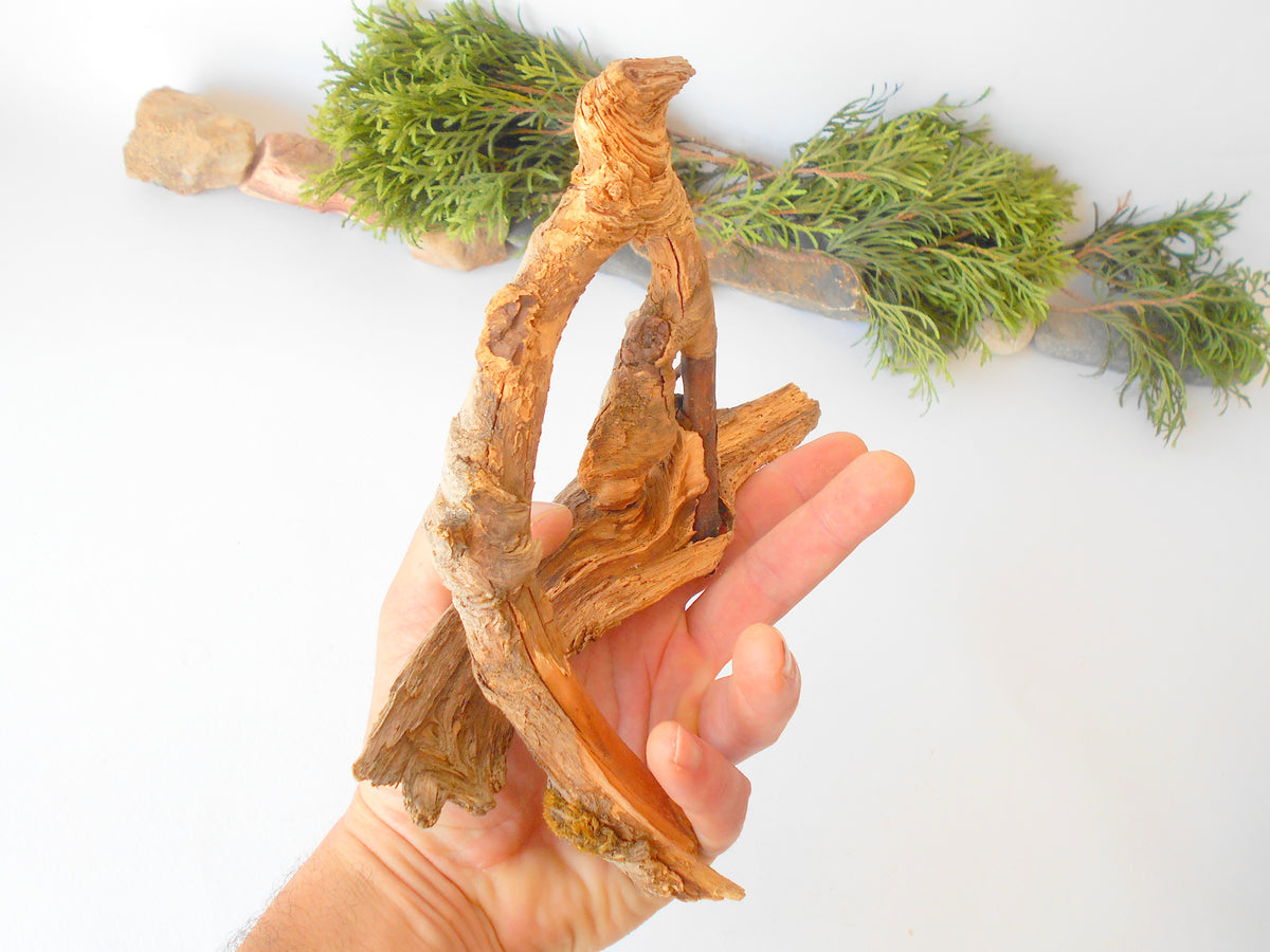 This is a naturally formed driftwood with a unique surface formed in a forest in the Rhodopes Mountain in Southern Europe- country Bulgaria. This piece of wood has been formed for many years and time has exposed the inner parts of the old tree wood. It looks like a boat or like a small pirate ship, isn&#39;t it?  Size: 20.5&#39; x 2&#39;&#39; x 2&#39;&#39;-&amp;nbsp; 52 x 5 x 5 cm.&amp;nbsp;