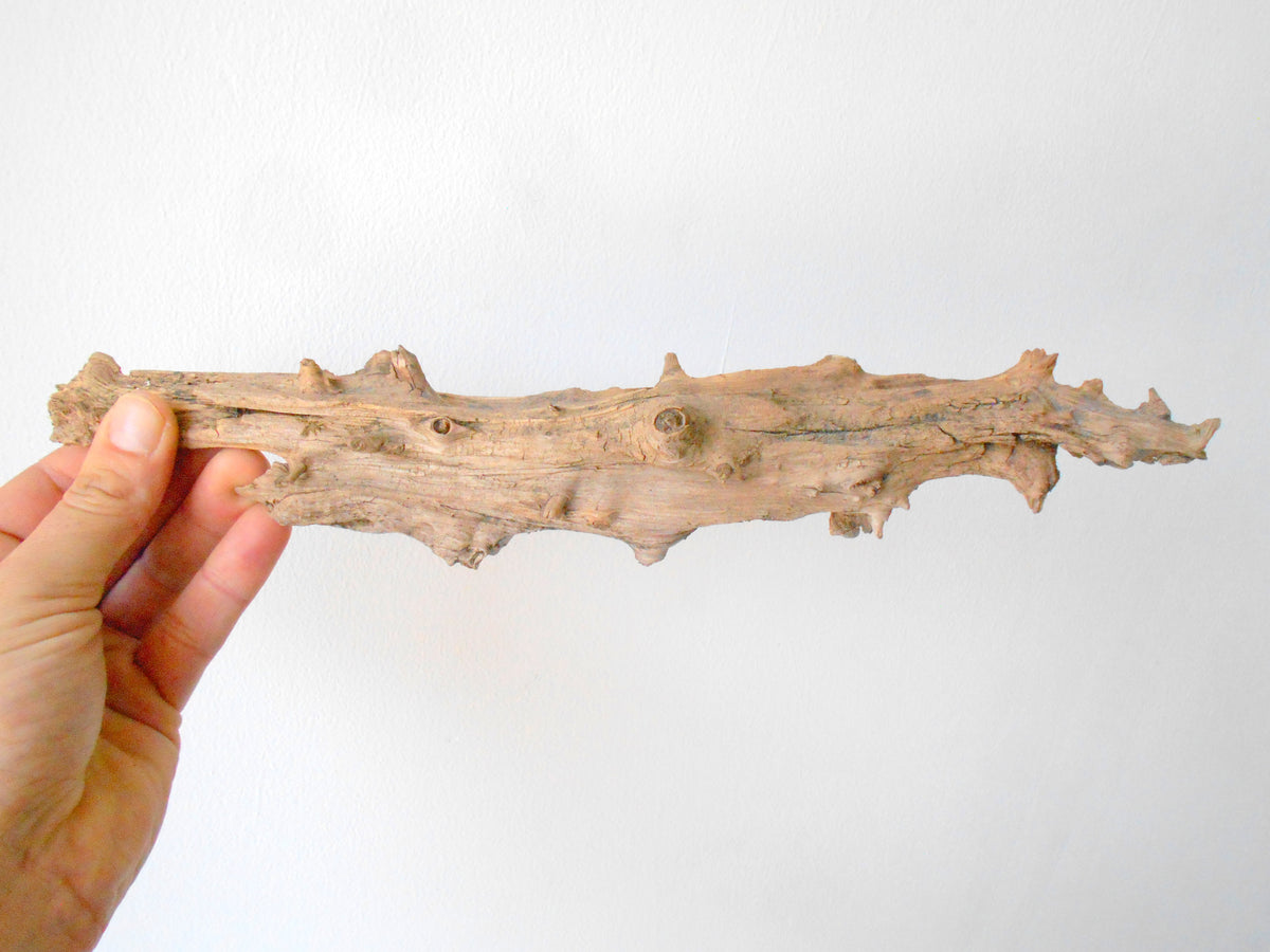 This is a naturally formed driftwood with a unique surface formed in a forest in the Rhodopes Mountain in Southern Europe- country Bulgaria. This piece of wood has been formed for many years and time has exposed the inner parts of the old tree wood.&amp;nbsp;  Size: 13&#39; x 2&#39;&#39; x 2&#39;&#39;-&amp;nbsp; 33 x 5 x 5 cm.&amp;nbsp;