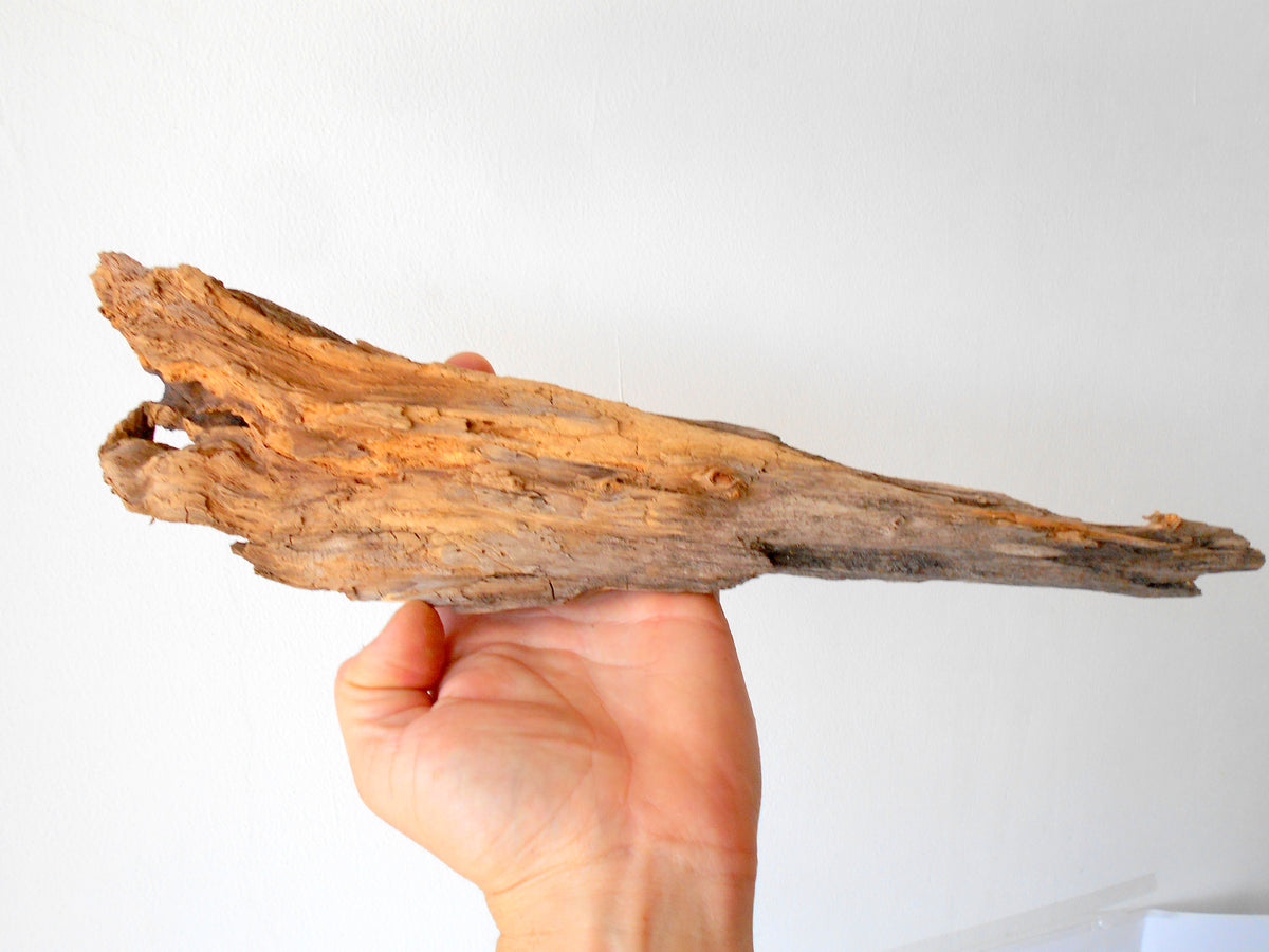 This is a naturally formed driftwood with a unique surface formed in a forest in the Rhodopes Mountain in Southern Europe- country Bulgaria. This piece of wood has been formed for many years and time has exposed the inner parts of the old tree wood.&amp;nbsp;  Size: 15.5&#39;&#39; x 3.5&#39;&#39; x 2&#39;&#39;-&amp;nbsp; 39 x 9 x 5 cm.&amp;nbsp;