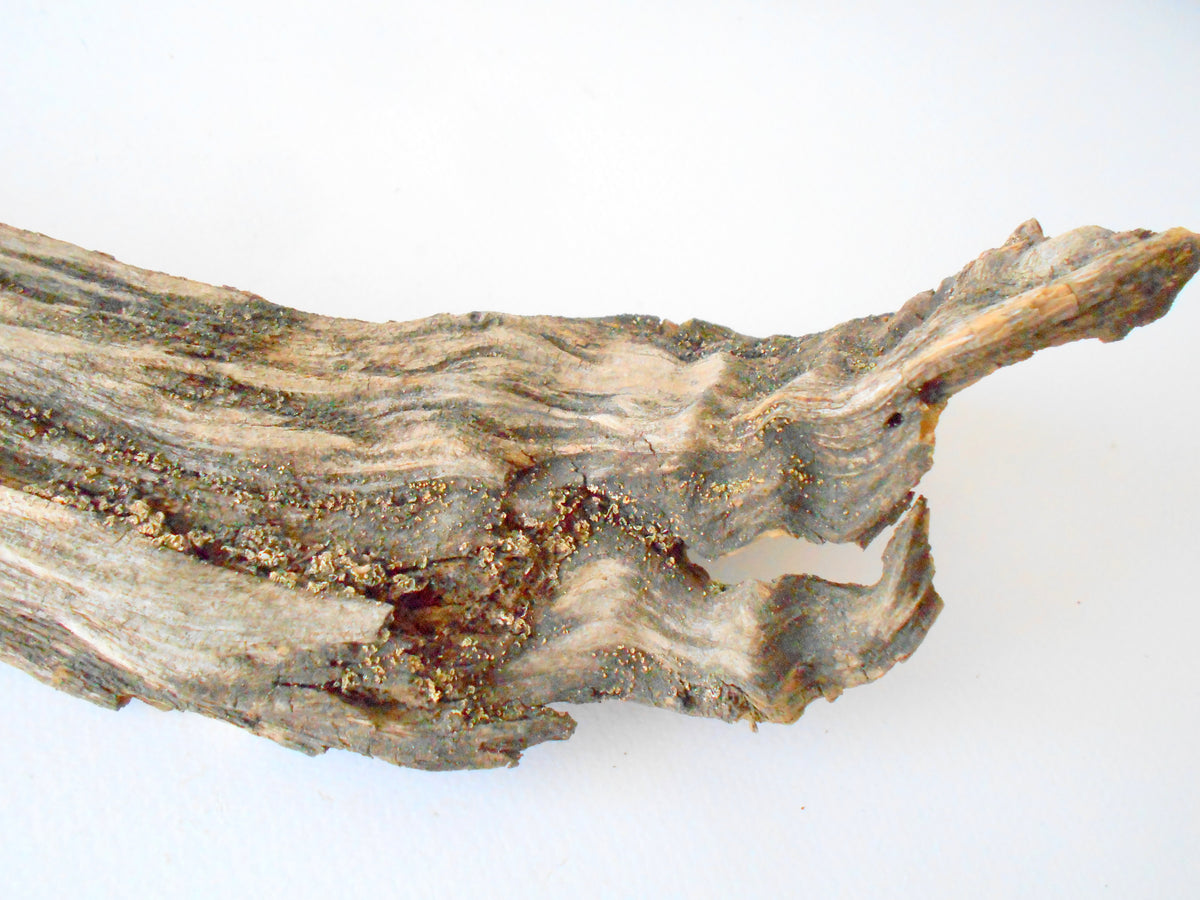 This is a naturally formed driftwood with a unique surface formed in a forest in the Rhodopes Mountain in Southern Europe- country Bulgaria. This piece of wood has been formed for many years and time has exposed the inner parts of the old tree wood.&amp;nbsp;  Size: 15.5&#39;&#39; x 3.5&#39;&#39; x 2&#39;&#39;-&amp;nbsp; 39 x 9 x 5 cm.&amp;nbsp;