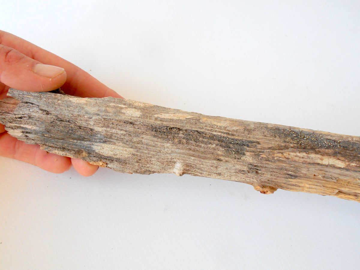 This is a naturally formed driftwood with a unique surface formed in a forest in the Rhodopes Mountain in Southern Europe- country Bulgaria. This piece of wood has been formed for many years and time has exposed the inner parts of the old tree wood.&amp;nbsp;  Size: 15.5&#39;&#39; x 3.5&#39;&#39; x 2&#39;&#39;-&amp;nbsp; 39 x 9 x 5 cm.&amp;nbsp;