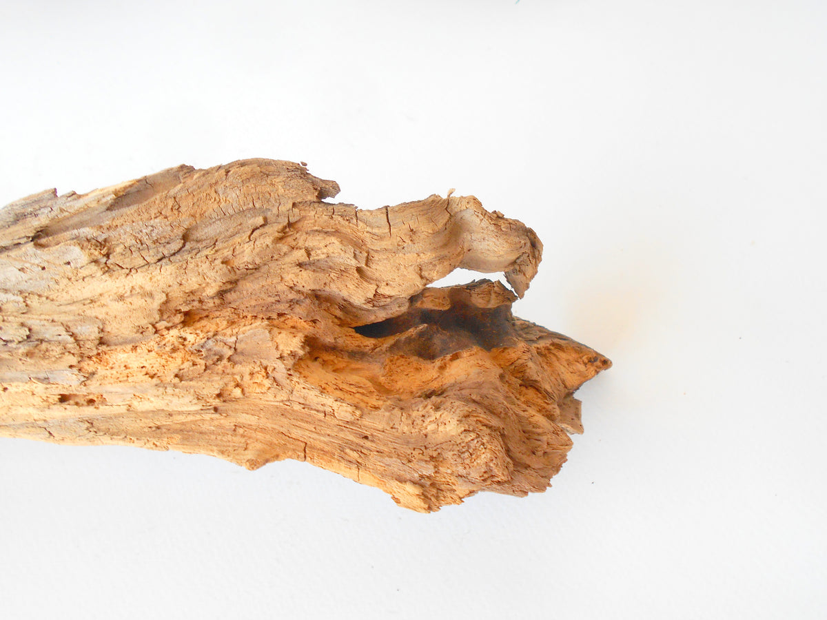 This is a naturally formed driftwood with a unique surface formed in a forest in the Rhodopes Mountain in Southern Europe- country Bulgaria. This piece of wood has been formed for many years and time has exposed the inner parts of the old tree wood.&amp;nbsp;  Size: 15.5&#39;&#39; x 3.5&#39;&#39; x 2&#39;&#39;-&amp;nbsp; 39 x 9 x 5 cm.&amp;nbsp;