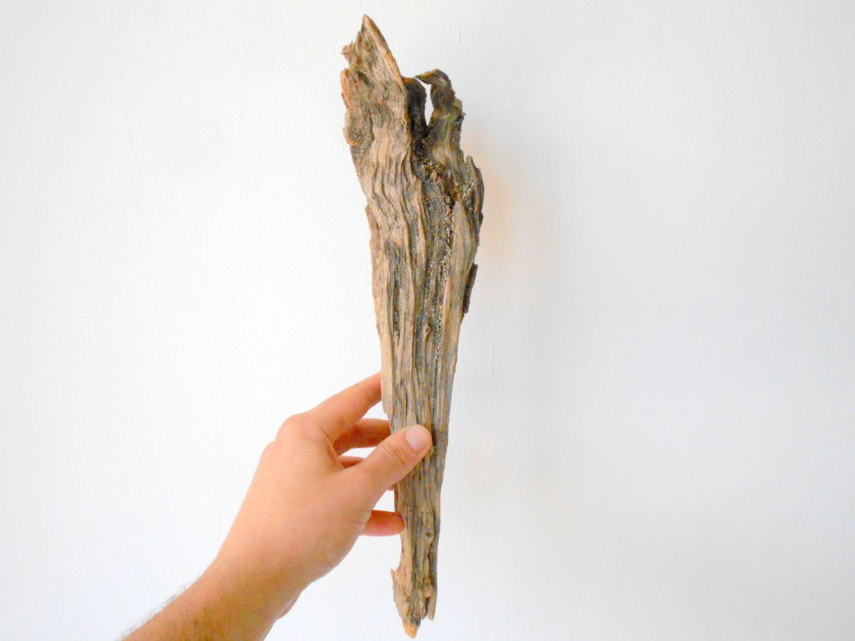 This is a naturally formed driftwood with a unique surface formed in a forest in the Rhodopes Mountain in Southern Europe- country Bulgaria. This piece of wood has been formed for many years and time has exposed the inner parts of the old tree wood.&amp;nbsp;  Size: 15.5&#39;&#39; x 3.5&#39;&#39; x 2&#39;&#39;-&amp;nbsp; 39 x 9 x 5 cm.&amp;nbsp;