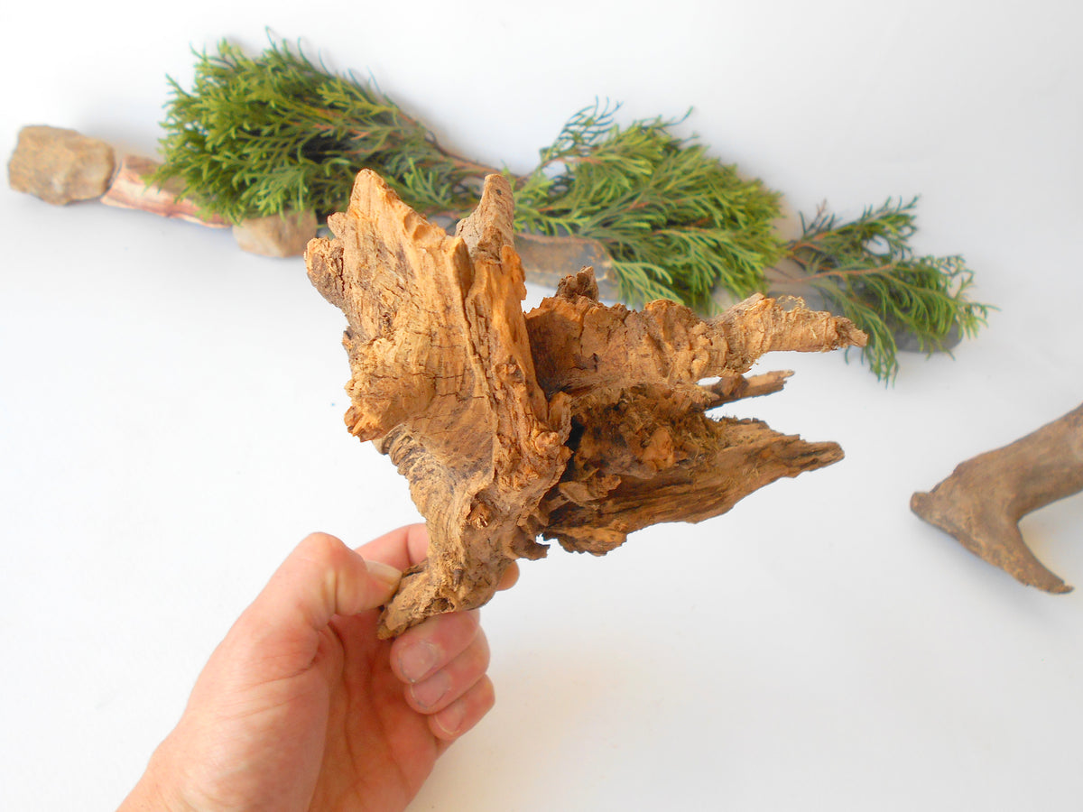 This is a naturally formed driftwood with a unique surface formed in a forest in the Rhodopes Mountain in Southern Europe- country Bulgaria. This piece of wood has been formed for many years and time has exposed the inner parts of the old tree wood.&amp;nbsp;  Size: 8.5&#39;&#39; x 6.5&#39;&#39; x 3.5&#39;&#39;-&amp;nbsp; 22 x 17 x 9 cm.&amp;nbsp;